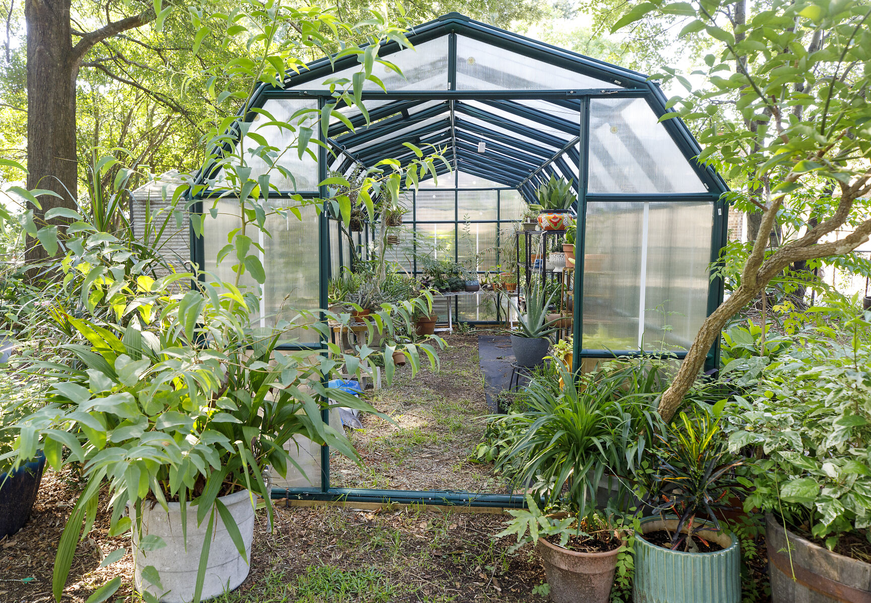 Greenhouse entrance.jpg